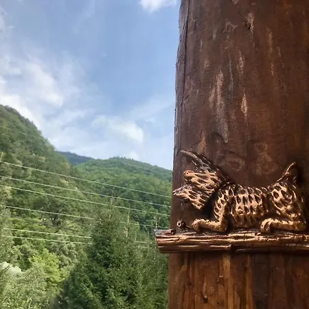 Pensiunea Tihna 3* Rîu de Mori
