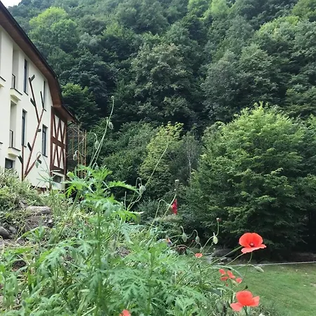 Pensiunea Tihna 3*