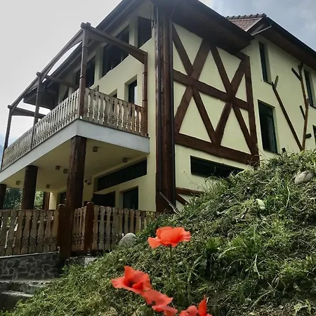 招待所 Pensiunea Tihna Rîu de Mori
